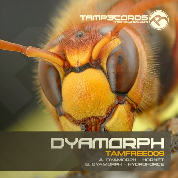 Обложка Dyamorph - Hornet, Hydroforce