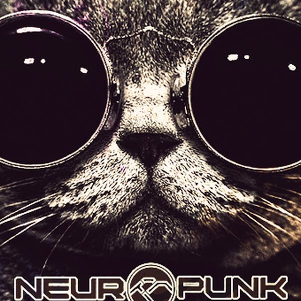 Обложка Neuropunk Special - The Fat 7
